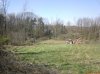 DSC00676.jpg