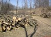 DSC00673.jpg