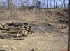 DSC00675.jpg