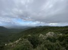 IMG_0910.jpeg