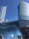 IMG_2541.JPG