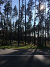 IMG_3054.JPG