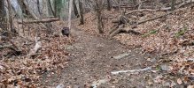 IMG_20231226_094729.jpg
