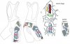 pantaloncino_forum_racing_team_ter_ridotto_595.jpg