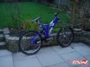 pbpic451045_244.jpg