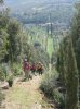 DSCN1107.jpg