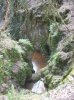 DSCN1110.jpg