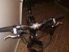 S8003121.jpg