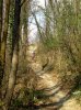 DSCN0549mod.jpg