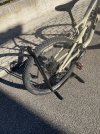 IMG_0548.jpeg