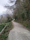 IMG20240316101806.jpg
