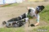 hoib? treia.jpg