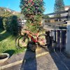 Mountain bike Orbea Oiz