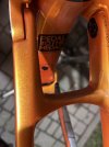 IMG_2692.jpeg