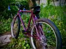 WP_20160613_19_52_00_Pro.jpeg