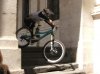 DSCF3776.jpg
