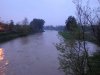 DSC00292.jpg