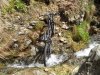 DSCN0166.jpg