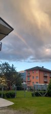 20240610_204853.jpg