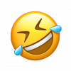 1719222480036.png