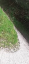 20240629_115205.jpg