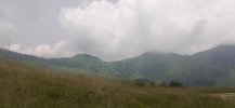 20240629_125303.jpg
