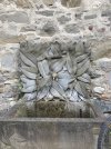 IMG_2224.jpeg