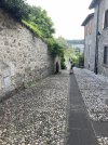 IMG_2225.jpeg