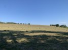 IMG_8958.jpeg