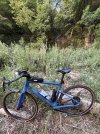 IMG_3989.jpeg