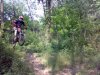 user42257_pic17374_1242553746.jpg