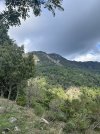 IMG_6627.jpeg