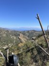 IMG_6724.jpeg