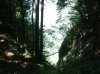 DSCF4727.jpg