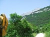 DSCF4711.jpg