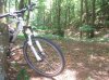 DSCF4728.jpg