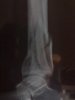 28092007171gn9.jpg