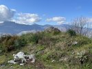 IMG_7100.jpeg