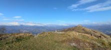 IMG_20250119_131726.jpg