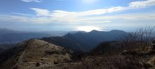IMG_20250119_131554.jpg