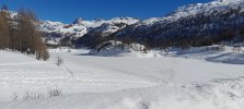 20250206_120737.jpg