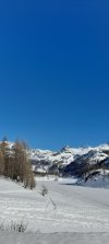 20250206_120818.jpg