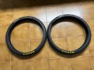 Maxxis SHORTY