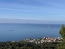 IMG_3644.jpeg