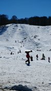 IMG_20250222_121518.jpg
