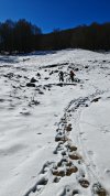 IMG_20250222_105505.jpg