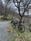IMG_7331.jpeg