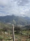 IMG_7332.jpeg
