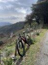 IMG_7333.jpeg