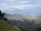 IMG_7341.jpeg